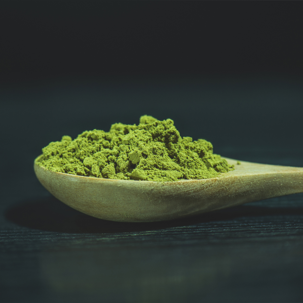 Matcha-Pulver vs. Matcha-Konzentrat – Was ist wirklich besser?