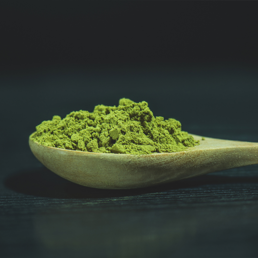 Matcha-Pulver vs. Matcha-Konzentrat – Was ist wirklich besser?