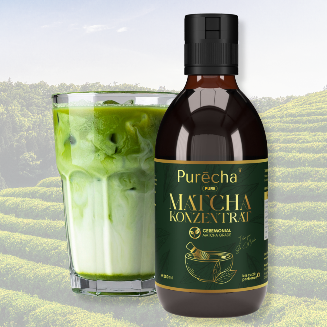 matcha im kühlschrank aufbewahren Purēcha - Matcha Konzentrat - Pure