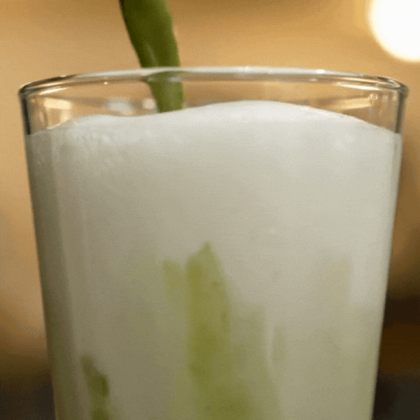 Purēcha - Matcha Konzentrat - Pure